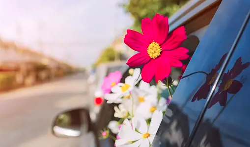 flowers in a car during spring